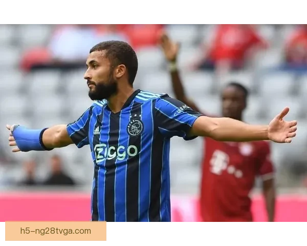 拉布亚德加盟科林蒂安仅差签证